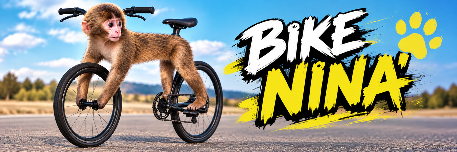 BIKE NINA banner — monkey bicycle on an open road